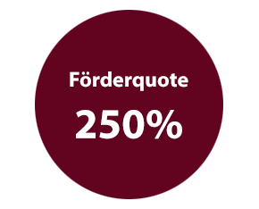 Förderquote 250%