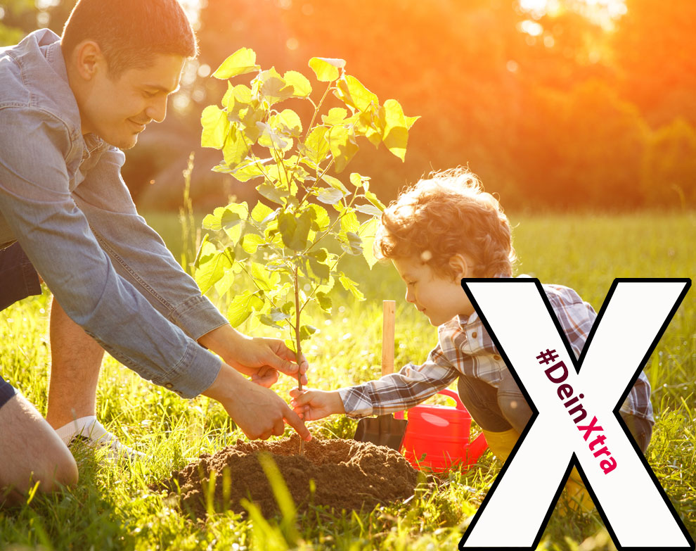 © Adobe Stock: kegfire #DeinXtra | Bild zeigt einen jungen Vater mit seinem Sohn, der einen Baum pflanzt. | © Adobe Stock: kegfire